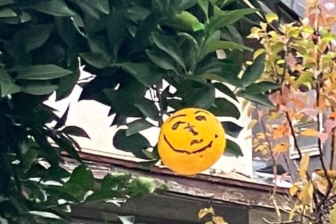 どこからか目線!