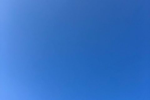 グリーフケア