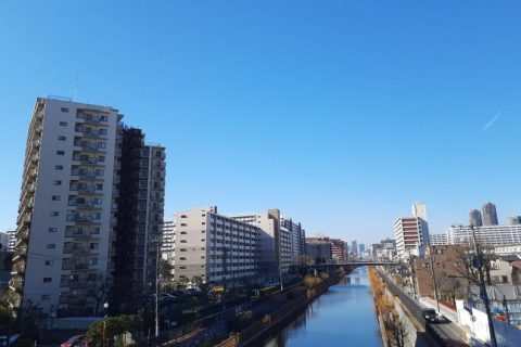 アレルギー
