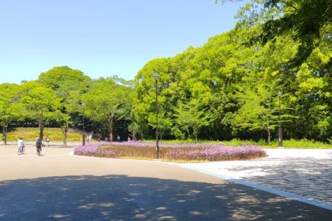 としまえん跡地 練馬城址公園