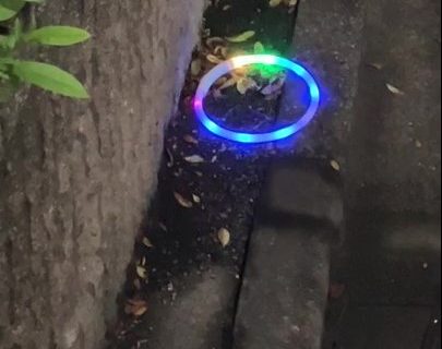 こんな所に忘れ物をしたのはどなたですか？②