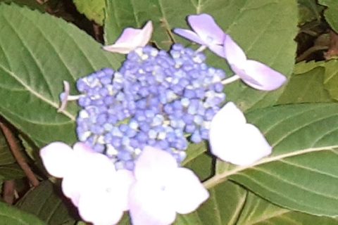体調管理