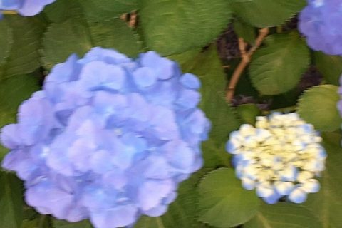 唾液がポイントです