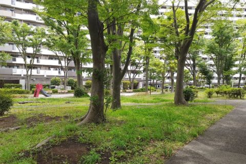 馴染みのある場所
