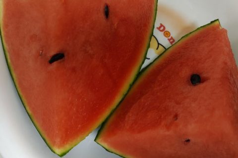 長岡花火