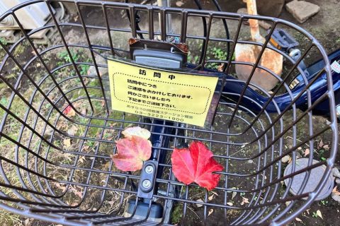 ♪真っ赤だなー