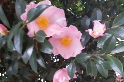 寒さ対策