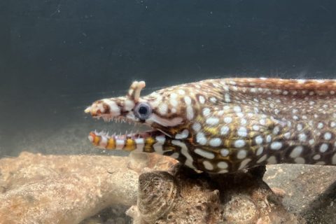 母の週末奮闘記